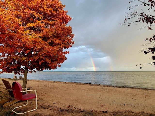 view of water feature featuring a view of the beach