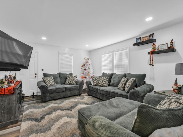 living room with hardwood / wood-style flooring