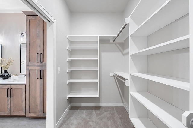 walk in closet with carpet floors