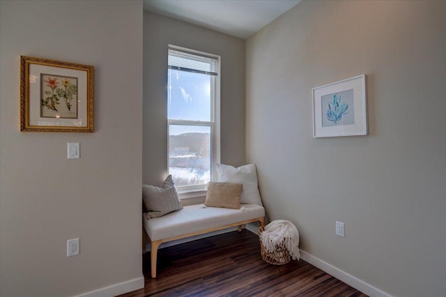 sitting room with baseboards, dark wood finished floors, and a wealth of natural light