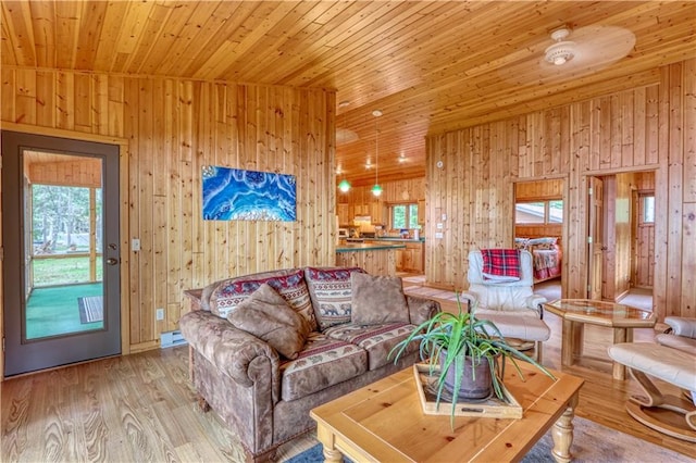 6874N Victory Heights Cir, Stone Lake, WI 54876 - living area with wood ceiling, wood finished floors, and wooden walls