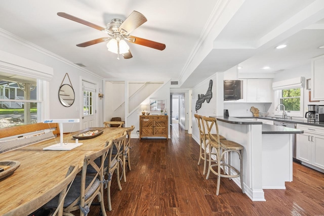 dining room featuring ceiling fan, ornamental molding, sink, and dark hardwood / wood-style flooring