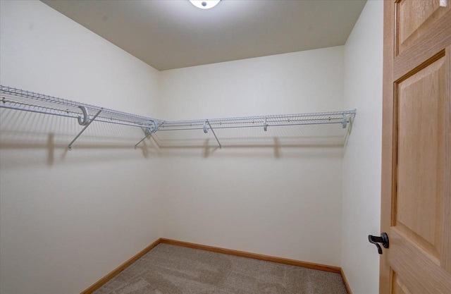 425 Mourning Dove Ct, Arena, WI 53503 - spacious closet featuring carpet