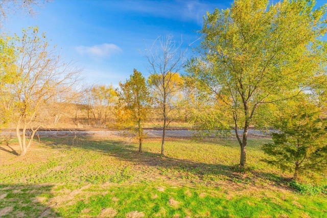 425 Mourning Dove Ct, Arena, WI 53503 - view of grassy yard