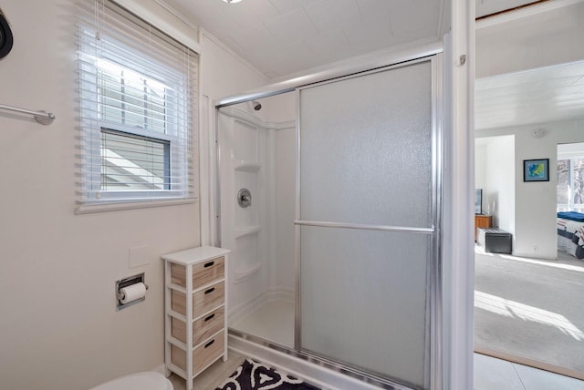 N1814 Highland Rd, Lake Geneva, WI 53147 - full bath with a shower stall, plenty of natural light, crown molding, and toilet