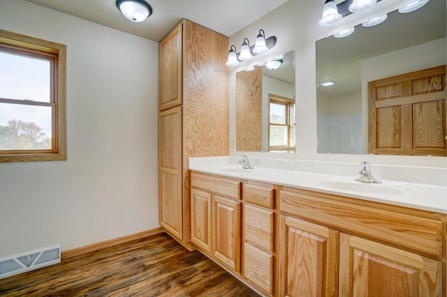 bathroom with wood-type flooring, vanity, and a wealth of natural light