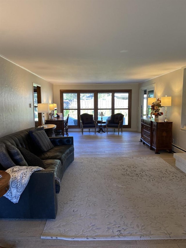 living room with hardwood / wood-style flooring and a baseboard radiator