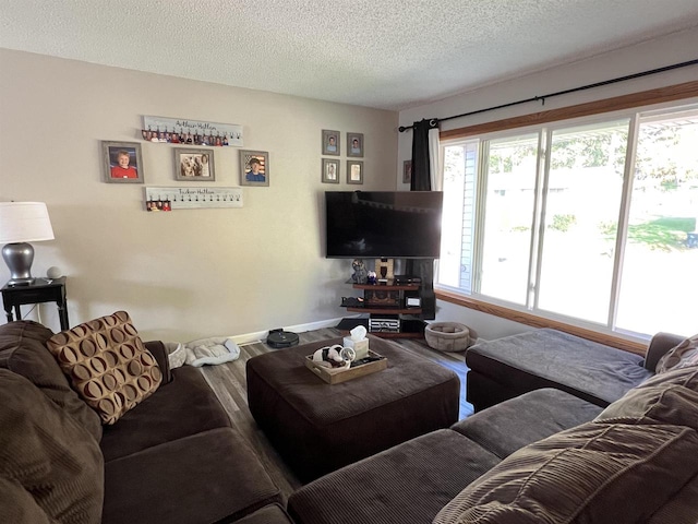 living room featuring hardwood / wood-style flooring and a textured ceiling