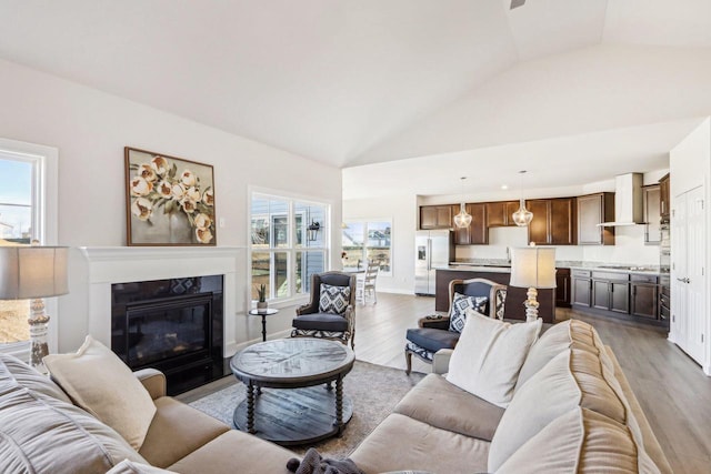 living room featuring high vaulted ceiling, a premium fireplace, plenty of natural light, and wood finished floors