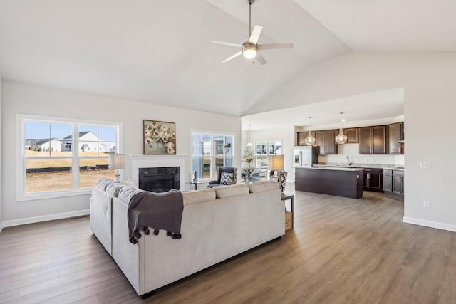 living area featuring a healthy amount of sunlight, a fireplace, baseboards, and wood finished floors