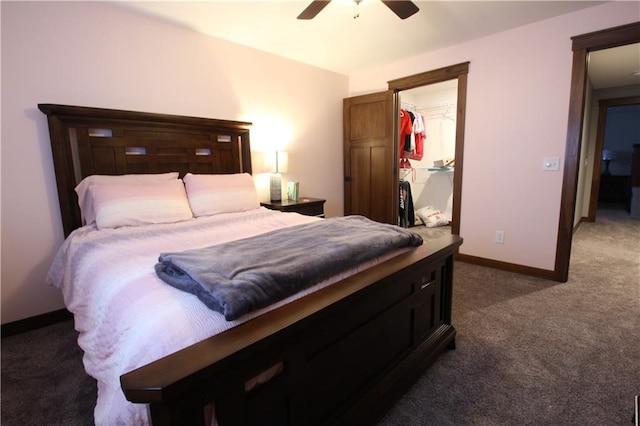 carpeted bedroom with ceiling fan, a closet, and a walk in closet