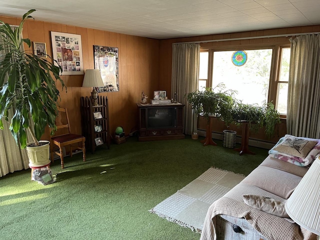 W6011 Pike River Rd, Wausaukee, WI 54177 - living area featuring carpet floors, wooden walls, and baseboard heating