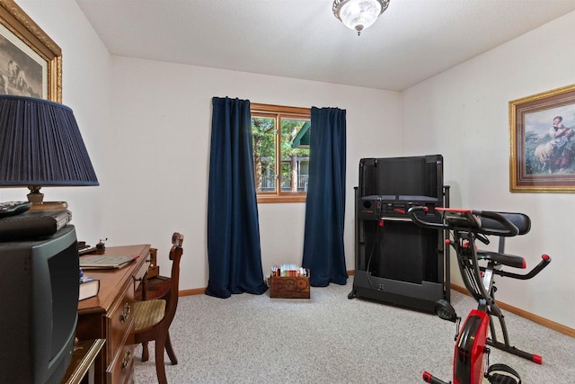 home office with carpet flooring