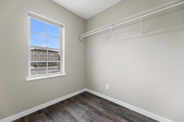 spacious closet featuring dark wood-type flooring