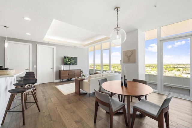 dining area featuring dark wood-type flooring and a tray ceiling