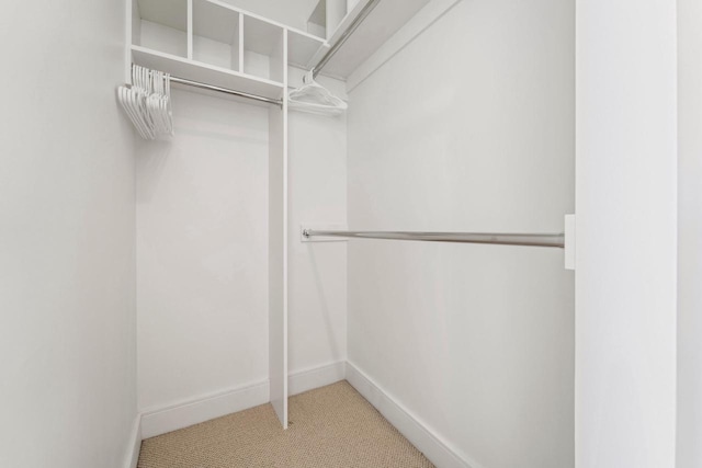 spacious closet featuring carpet flooring