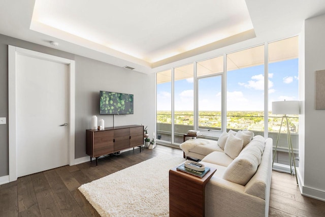 living room featuring dark hardwood / wood-style floors and a tray ceiling