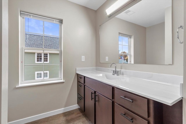 bathroom featuring a wealth of natural light, vanity, and wood-type flooring