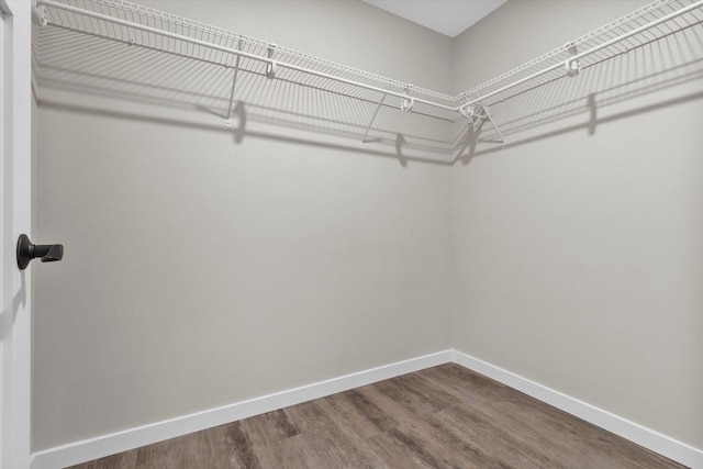 spacious closet featuring hardwood / wood-style flooring