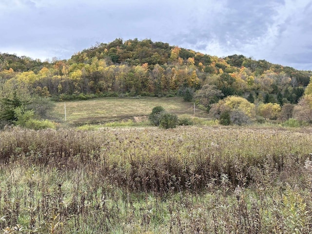 35/-AC County Road Nn, Coon Valley WI, 54623 land for sale