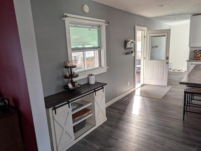 foyer entrance featuring dark wood-type flooring