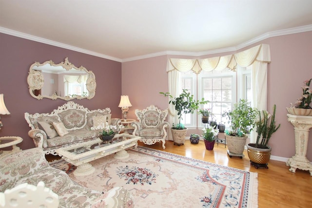 living room with ornamental molding and hardwood / wood-style floors