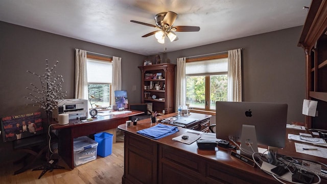 office with light wood-type flooring and ceiling fan