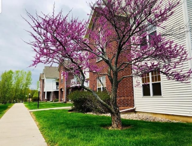 view of property exterior with a yard