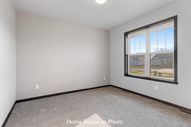 unfurnished room with carpet floors and a healthy amount of sunlight