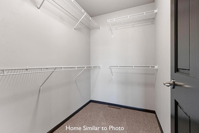 view of spacious closet