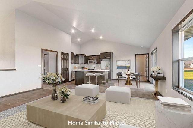 living room featuring light hardwood / wood-style flooring, high vaulted ceiling, and a healthy amount of sunlight