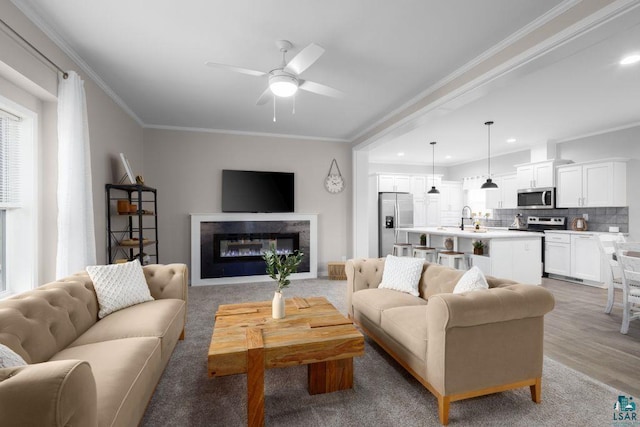 living room featuring hardwood / wood-style floors, ceiling fan, sink, and crown molding