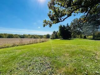 view of yard with a rural view