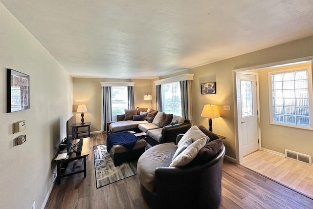 living room featuring a wealth of natural light and light hardwood / wood-style floors