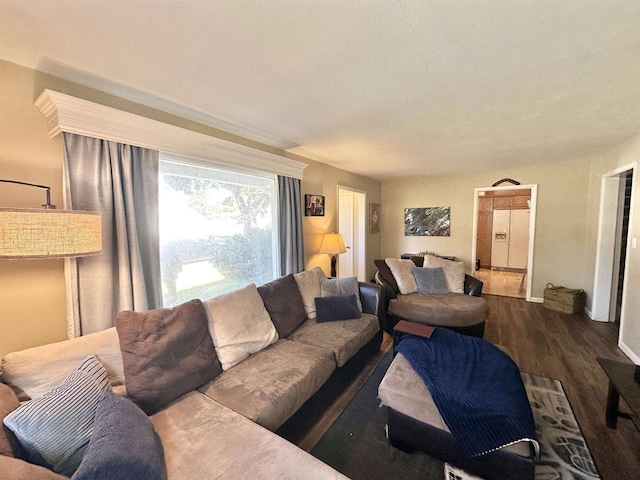 living room featuring hardwood / wood-style floors