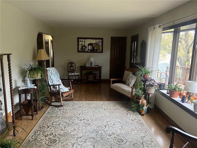 living area featuring wood-type flooring