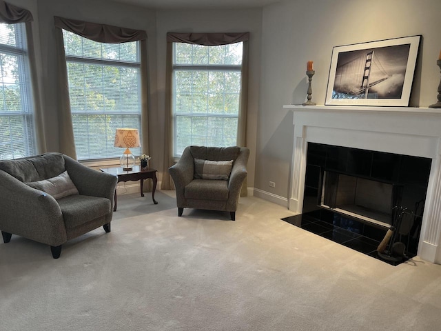 living area with carpet