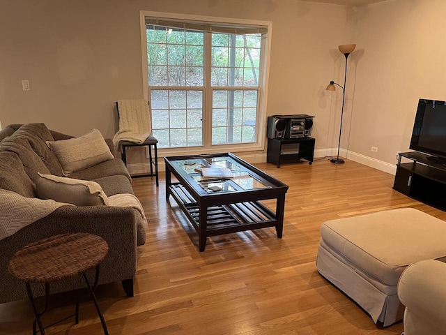 living room with light hardwood / wood-style flooring