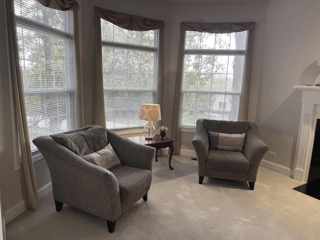 sitting room featuring light carpet and plenty of natural light