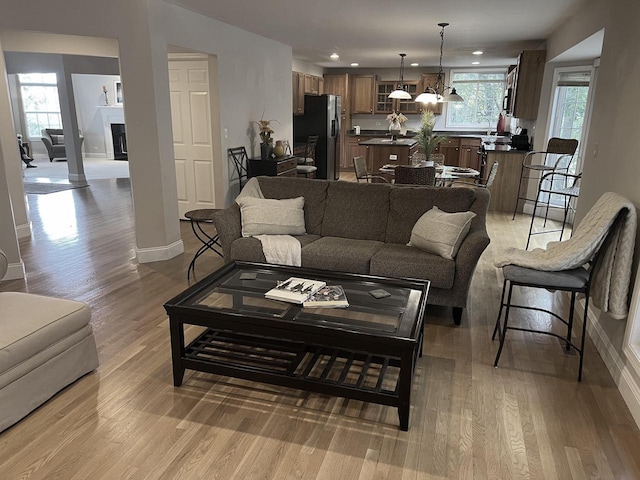 living room with light hardwood / wood-style floors