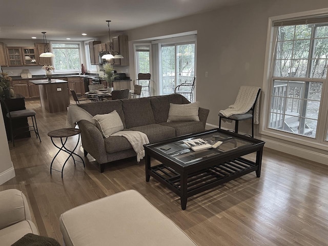 living room featuring dark wood-type flooring