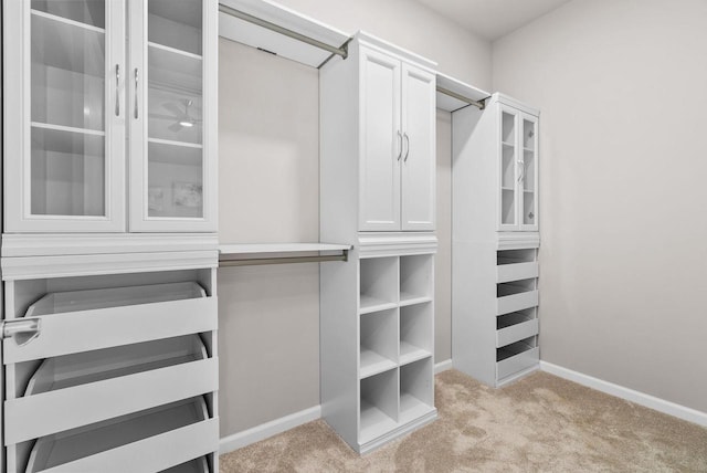 2352 Lonnie Ct, Sun Prairie, WI 53590 - spacious closet with light colored carpet