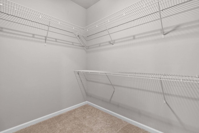2352 Lonnie Ct, Sun Prairie, WI 53590 - walk in closet featuring carpet floors
