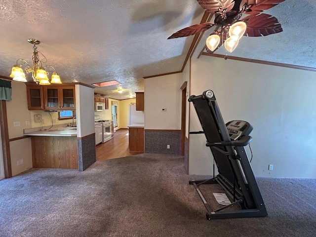 exercise area with ceiling fan, a textured ceiling, lofted ceiling, and crown molding