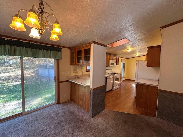 kitchen with white appliances, dark hardwood / wood-style floors, hanging light fixtures, ornamental molding, and a textured ceiling