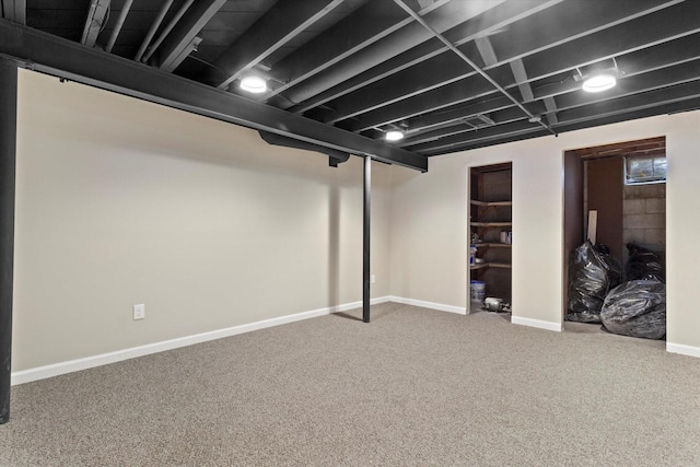 basement featuring carpet