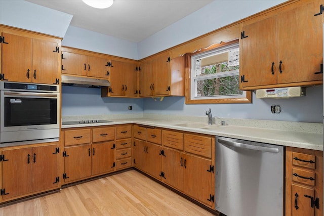 kitchen featuring sink, light hardwood / wood-style flooring, and appliances with stainless steel finishes