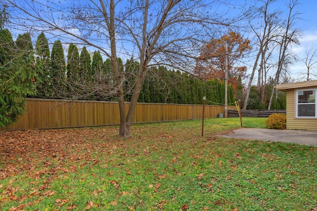 view of yard featuring a patio