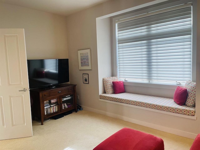 sitting room featuring carpet