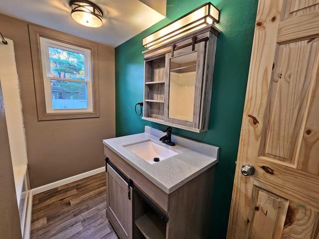 bathroom featuring wood-type flooring and vanity